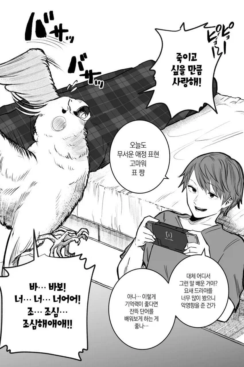 앵무새와 스토커.manhwa - 이미지 3