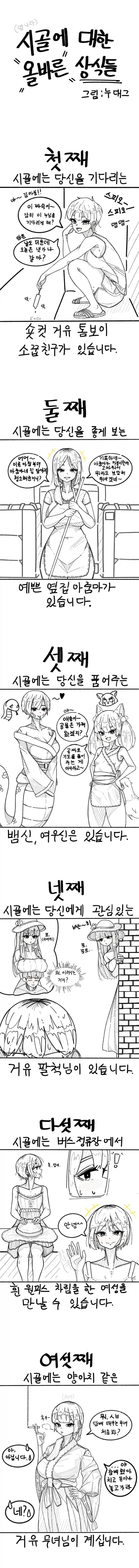 시골에 대한 올바른 상식들 만화.manhwa