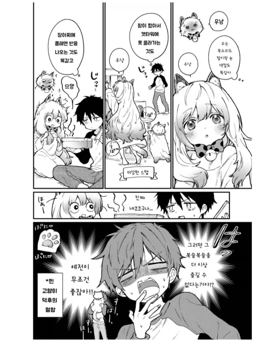 소녀가 된 반려묘.Manhwa - 이미지 8
