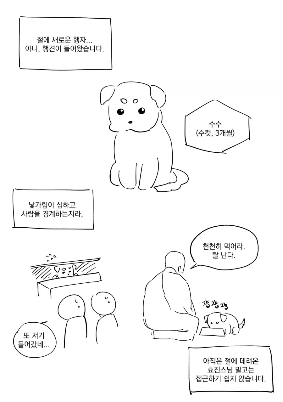 절에 새로운 강아지가 들어왔습니다. manwha