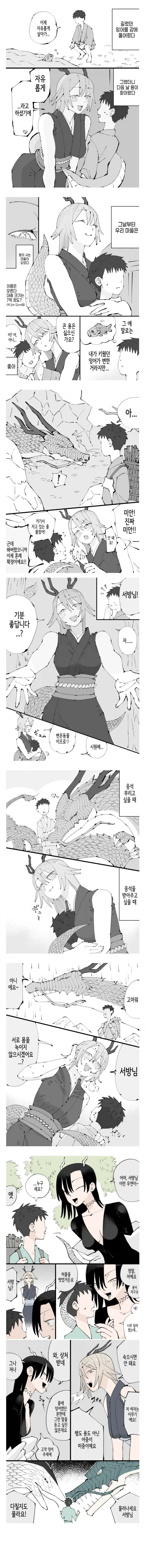 방생한 잉어가 용이 되어서 돌아온 만화