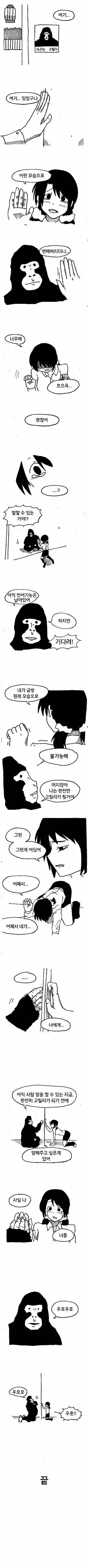 고릴라 바이러스에 감염된 만화.manhwa