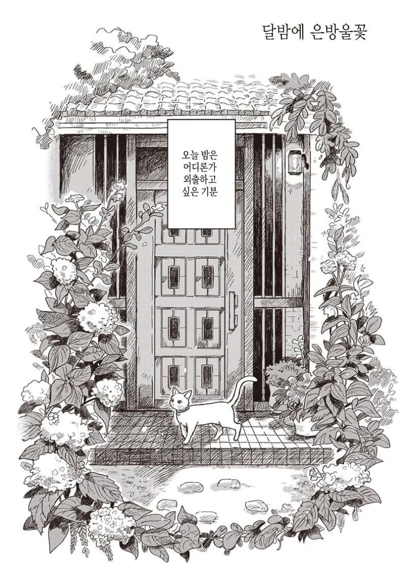비밀장소에 차를 마시러 온 고양이 만화.manga