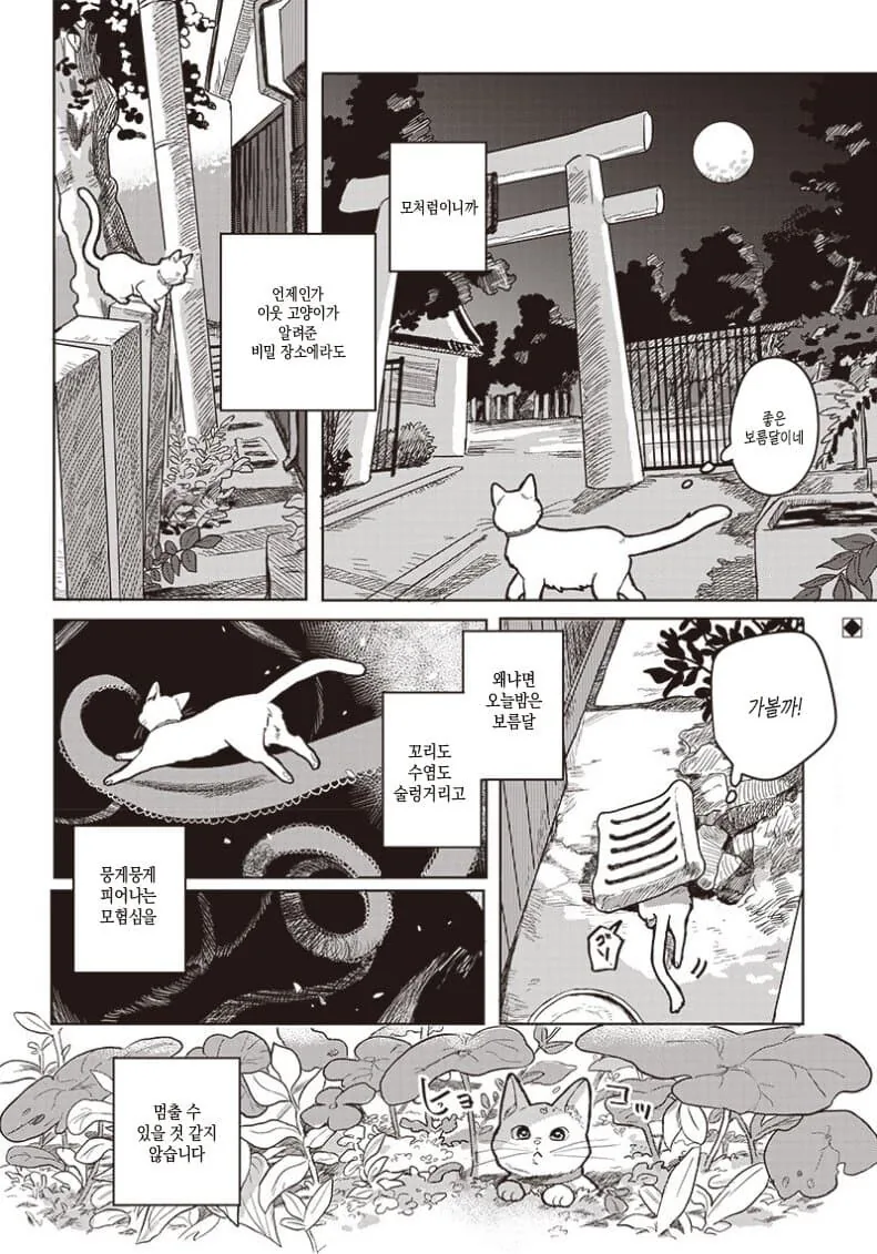 비밀장소에 차를 마시러 온 고양이 만화.manga - 이미지 2