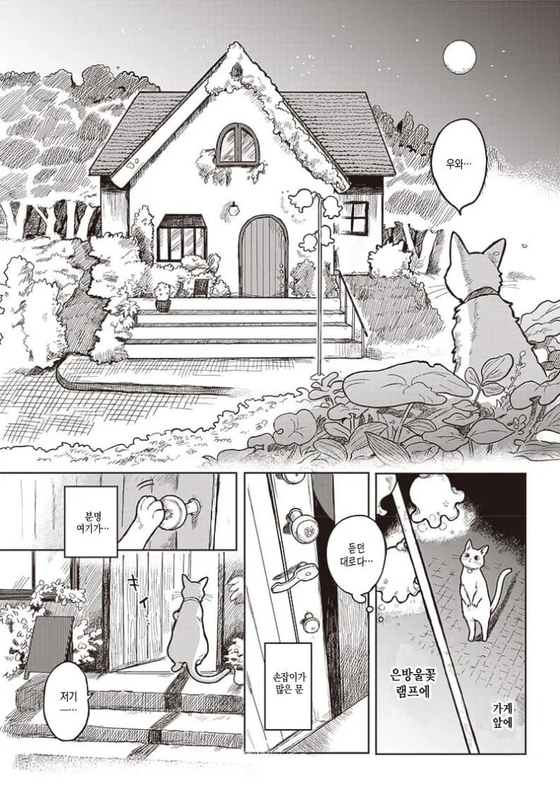 비밀장소에 차를 마시러 온 고양이 만화.manga - 이미지 3