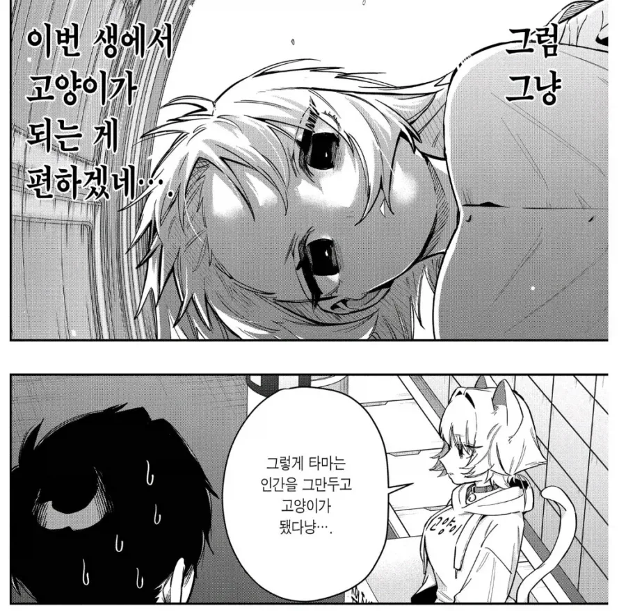 100여친)작가의 새로운 고양이계 캐릭터.jpg - 이미지 2