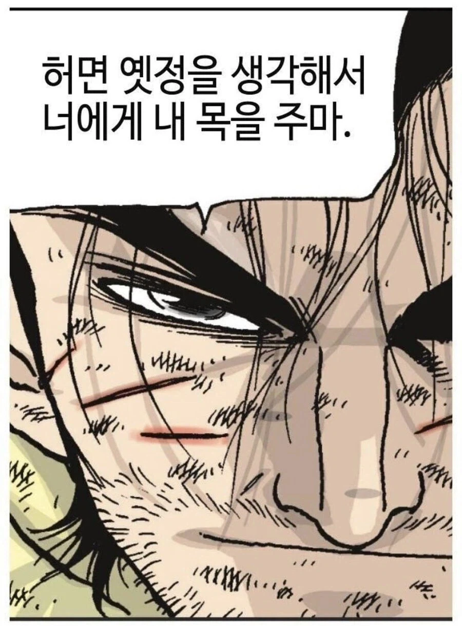 그 시절 패왕뽕 MAX 채워준 만화 - 이미지 3