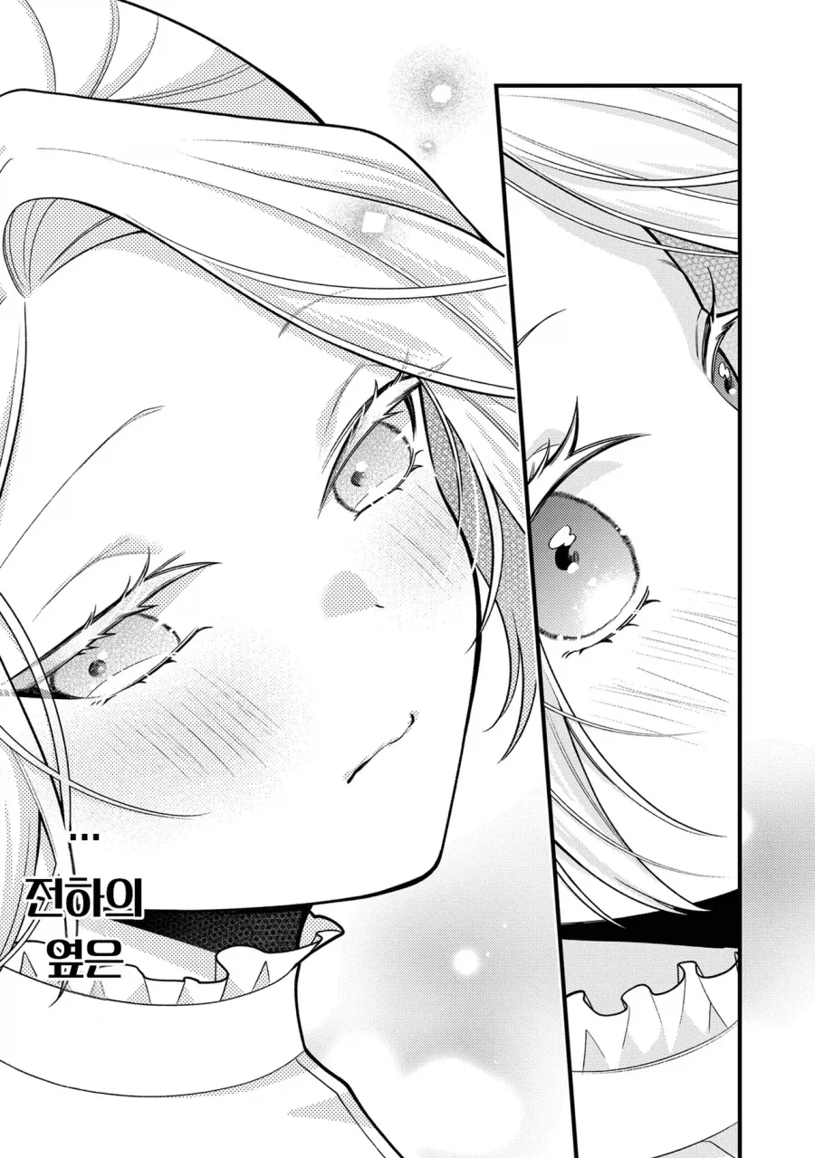 왕자를 암살하려는 왕가의 그림자.manhwa - 이미지 17