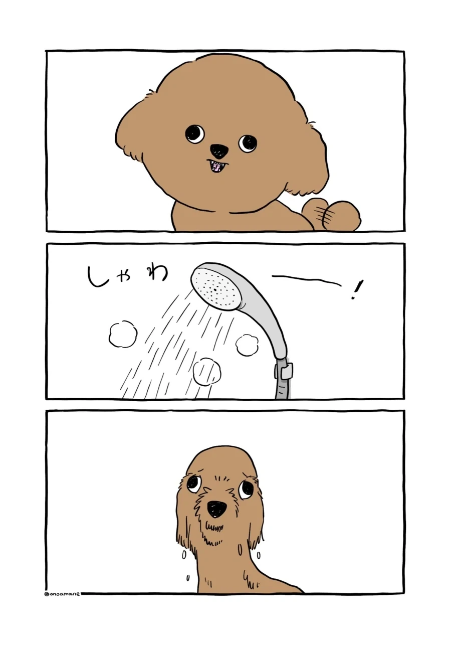 개만화 - 이미지 2