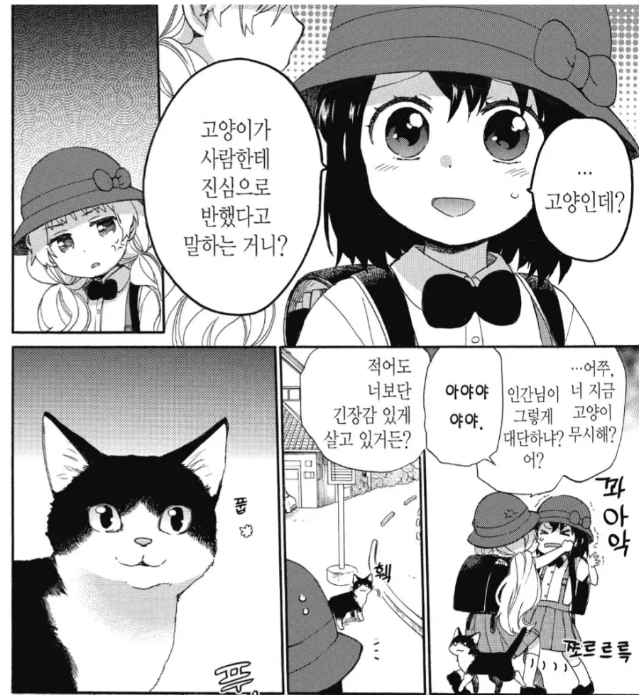 인간으로 환생한 고양이의 우울.manhwa - 이미지 2