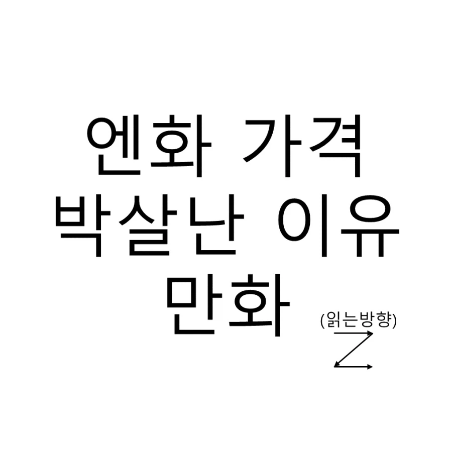 엔화 가격이 박살난 이유 만화 .jpg