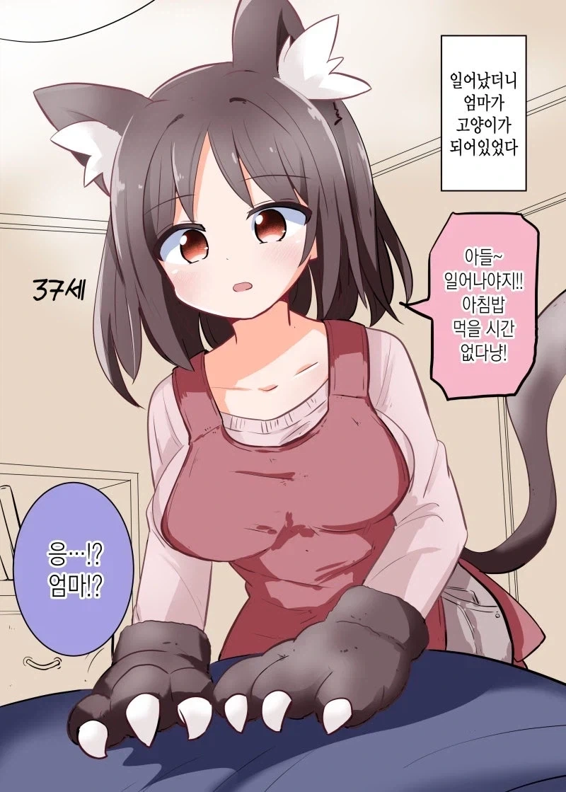 고양이가 되어버린 37살 엄마 만화.manhwa