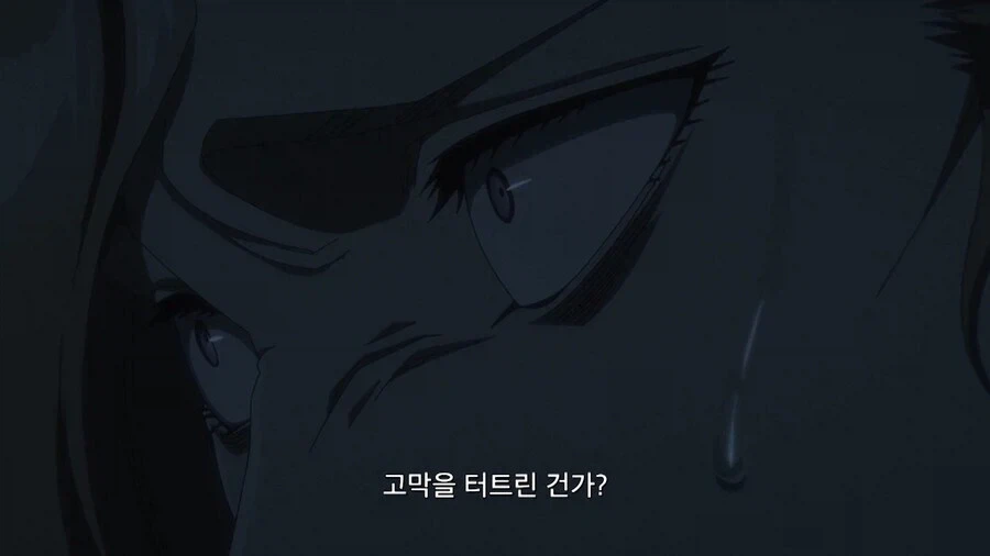 블리치) 내용추가로 ㅂㅅ같았던 점 고친다는 애니특.jpg - 이미지 12