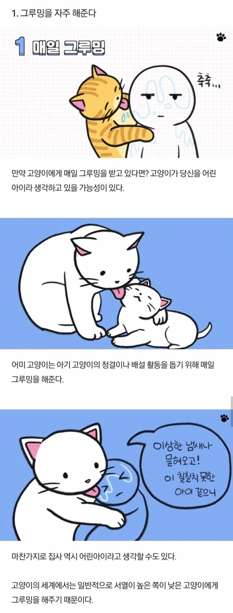 고양이에 대해 알아보는 만화.manwha