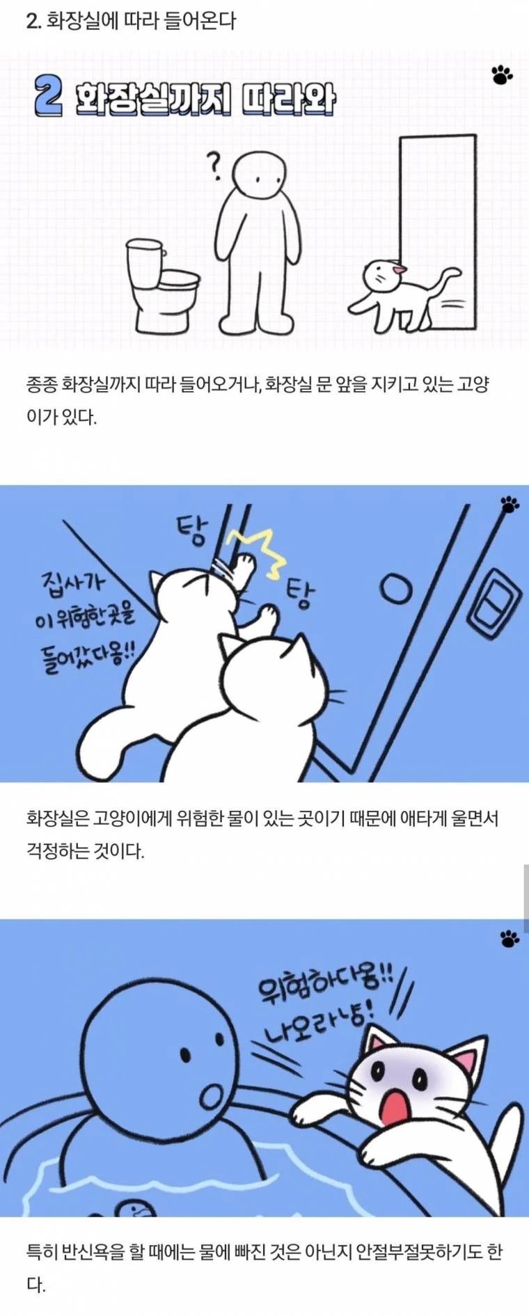 고양이에 대해 알아보는 만화.manwha - 이미지 2