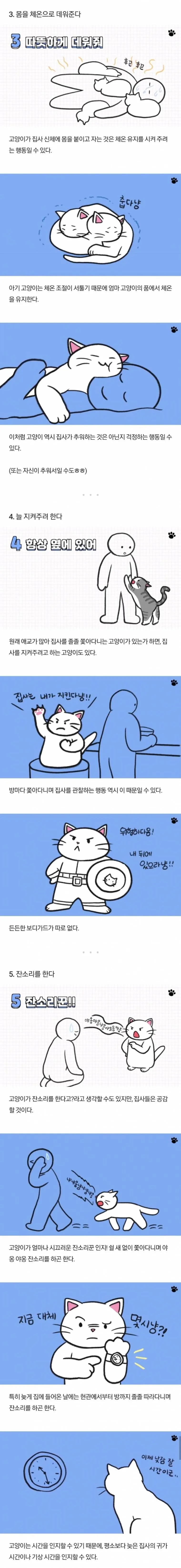고양이에 대해 알아보는 만화.manwha - 이미지 3