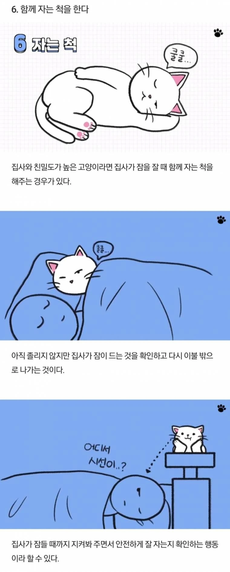 고양이에 대해 알아보는 만화.manwha - 이미지 4