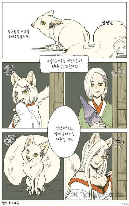 상처입은 여우가 은혜갚는 만화