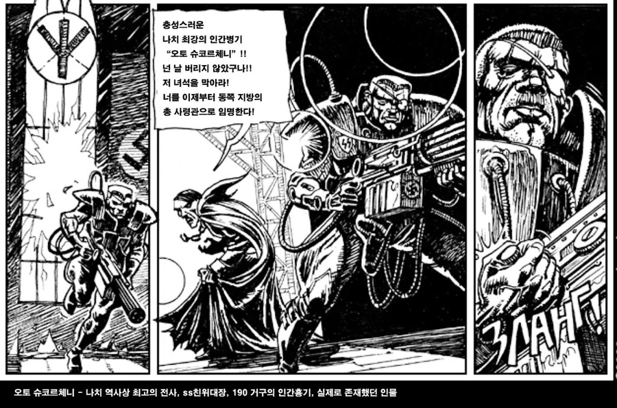 히틀러와 스탈린이 현피뜨는 만화 - 이미지 12