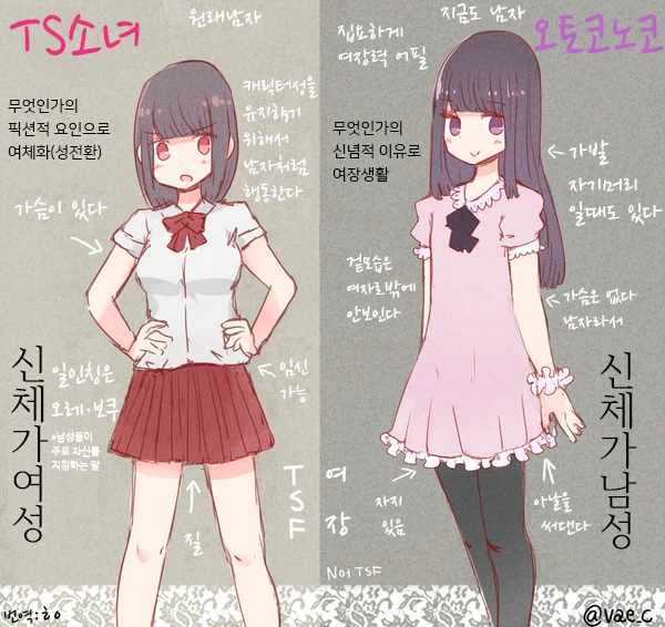 TS미소녀 vs ㅇㅌㅋㄴㅋ 만화.manhwa
