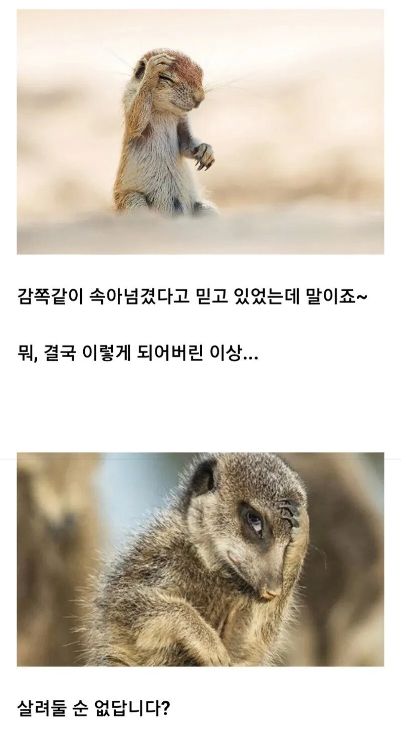 만화속 실눈 남캐의 비밀