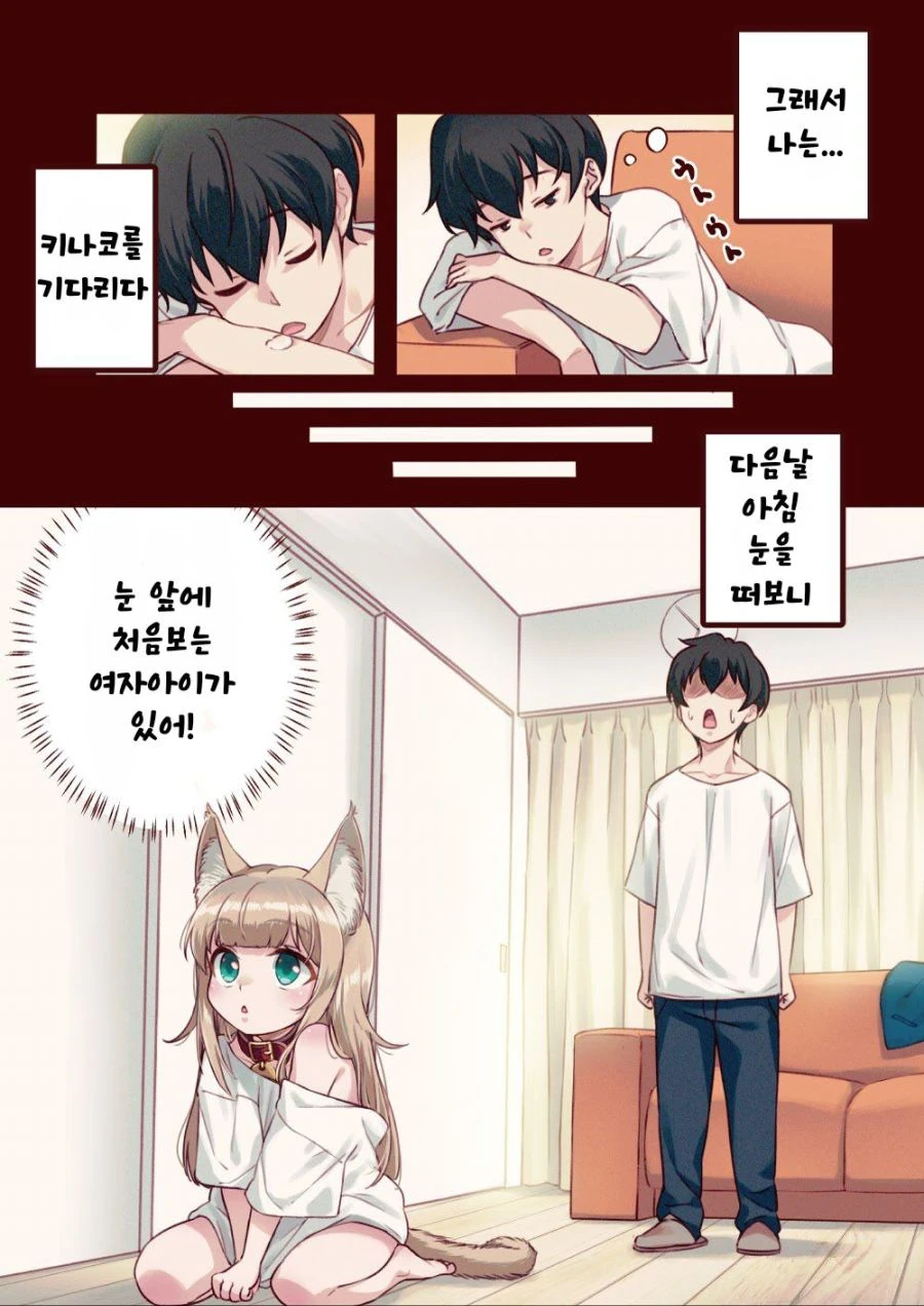 고양이 가능충 manga - 이미지 5