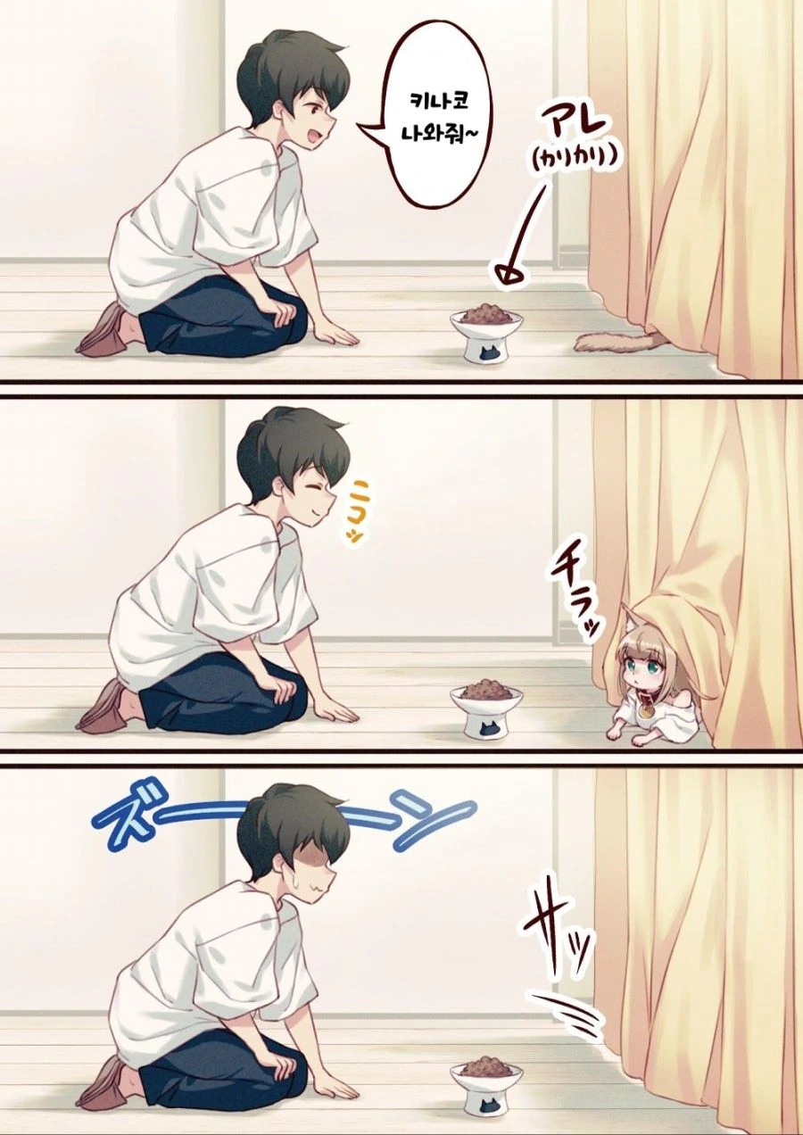 고양이 가능충 manga - 이미지 10