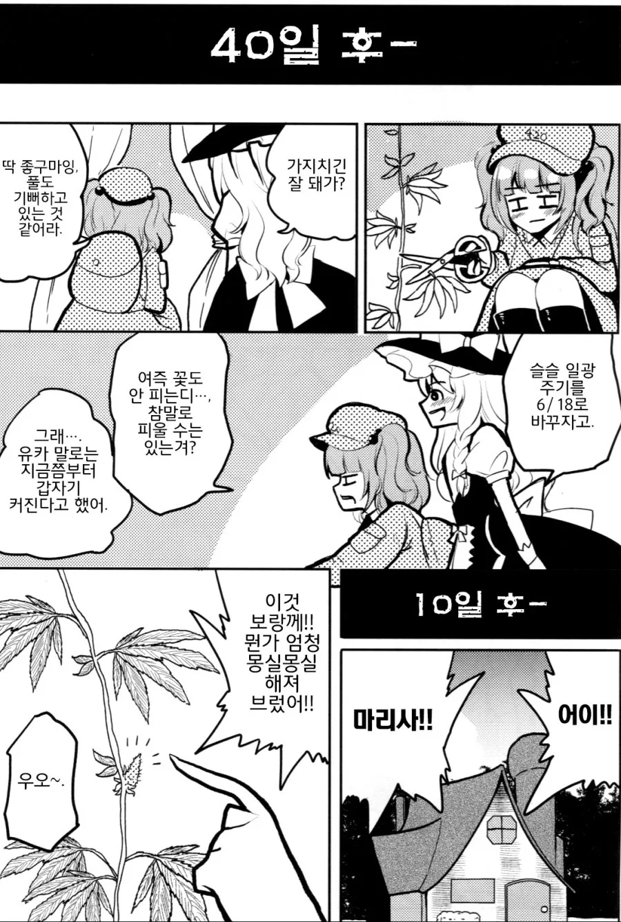 마1약 재배하는 만화.manga - 이미지 12
