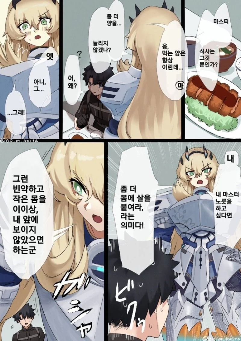 페이트 만화】 도시락 싸주는 문화를 알게된 바게스트