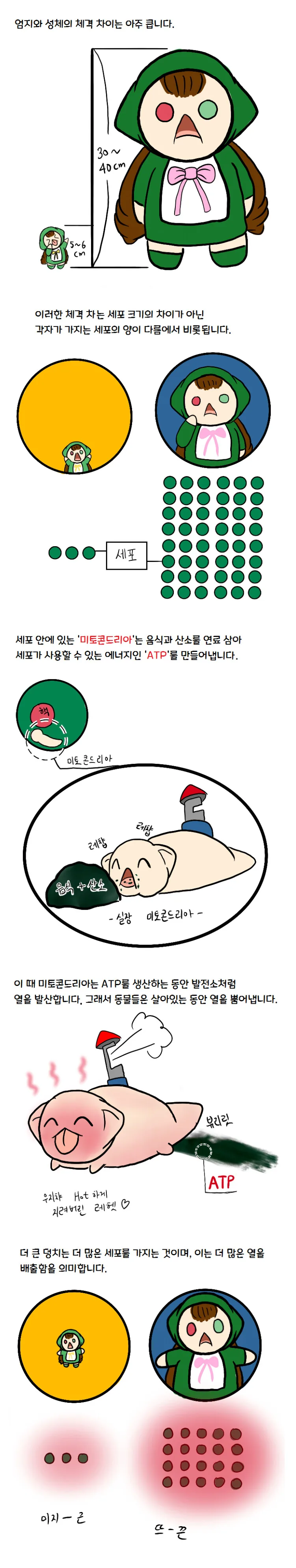과학적인 참피 만화