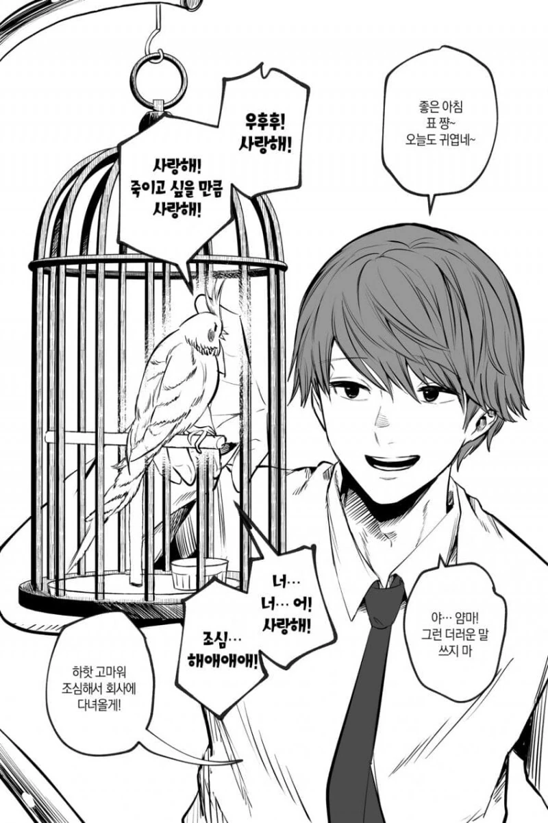 앵무새는 전하고 싶어.manhwa