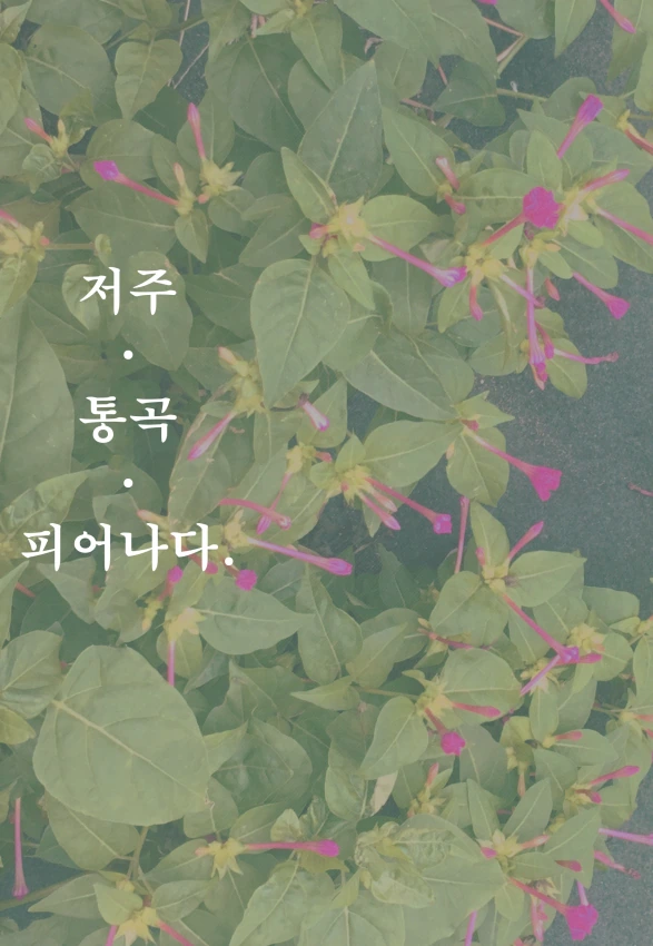 @) 감동적인 순애물.manga