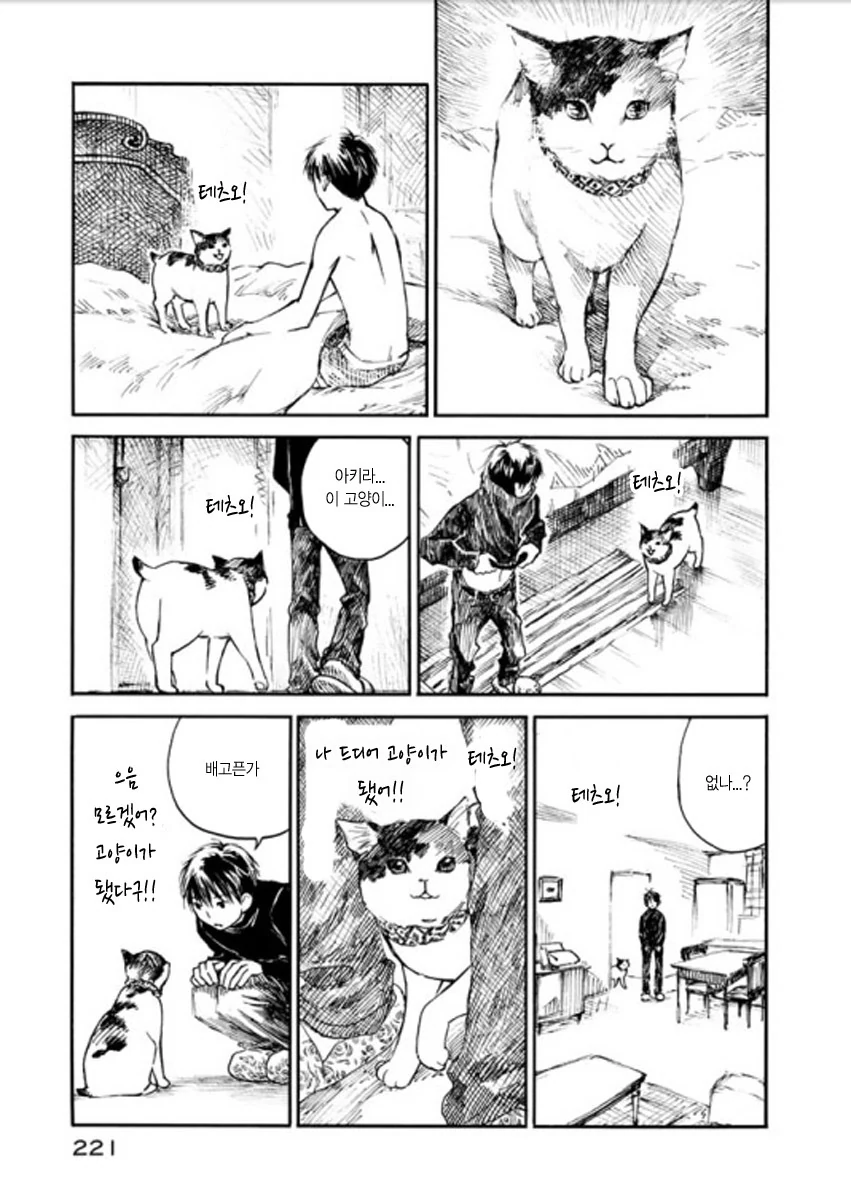 여친이 고양이로 변한 만화.manwha