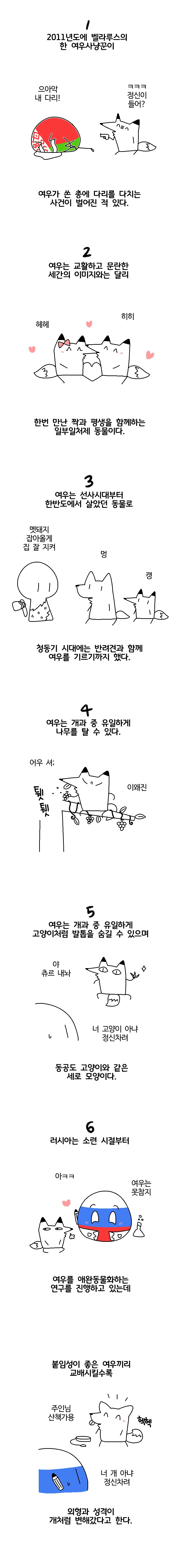 여우에 관한 쓸모없는 10가지 사실.manwha