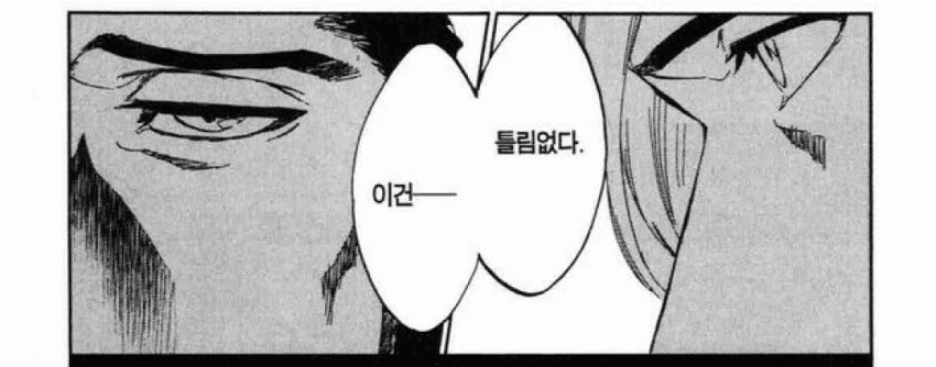 블리치) 토시로의 미래.manga - 이미지 6