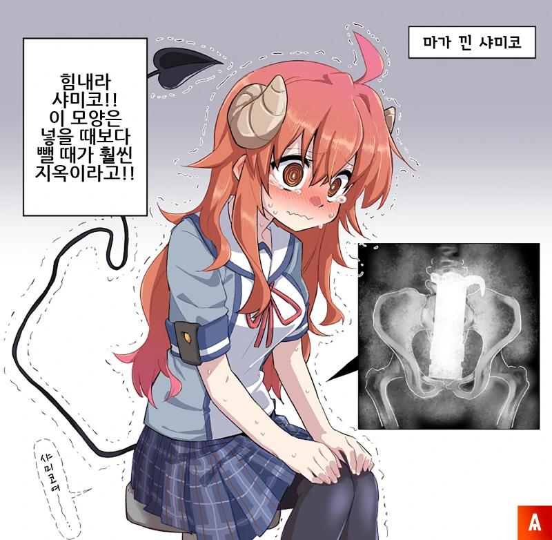 힘내라 샤미코!