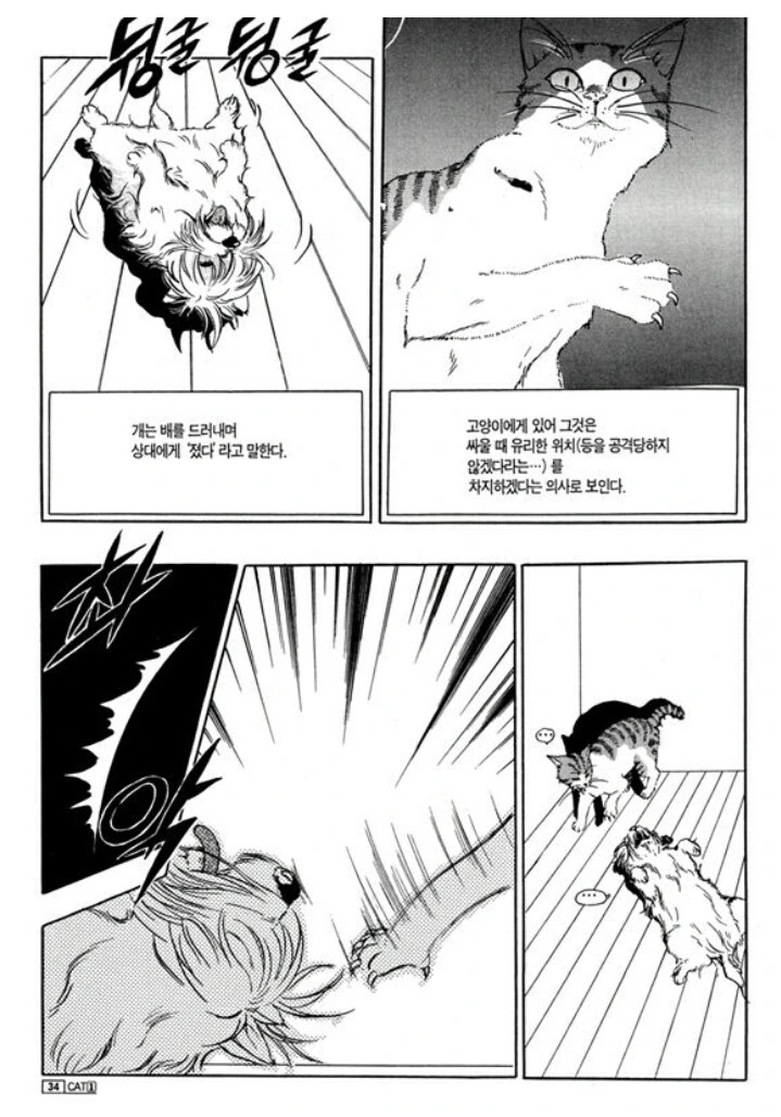 개와 고양이 만화 - 이미지 4