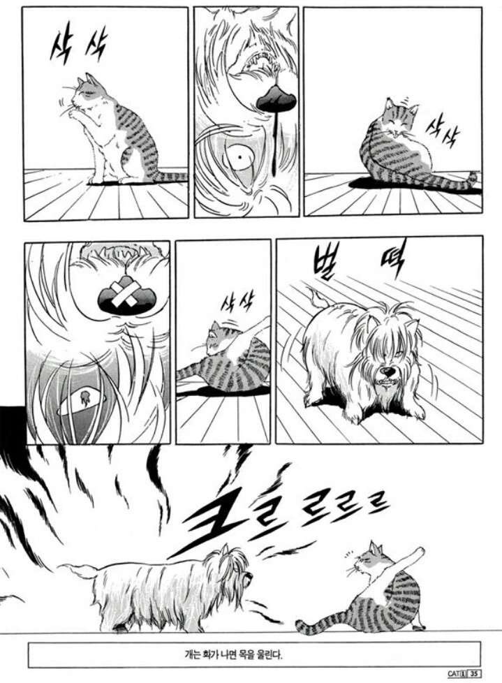 개와 고양이 만화 - 이미지 5