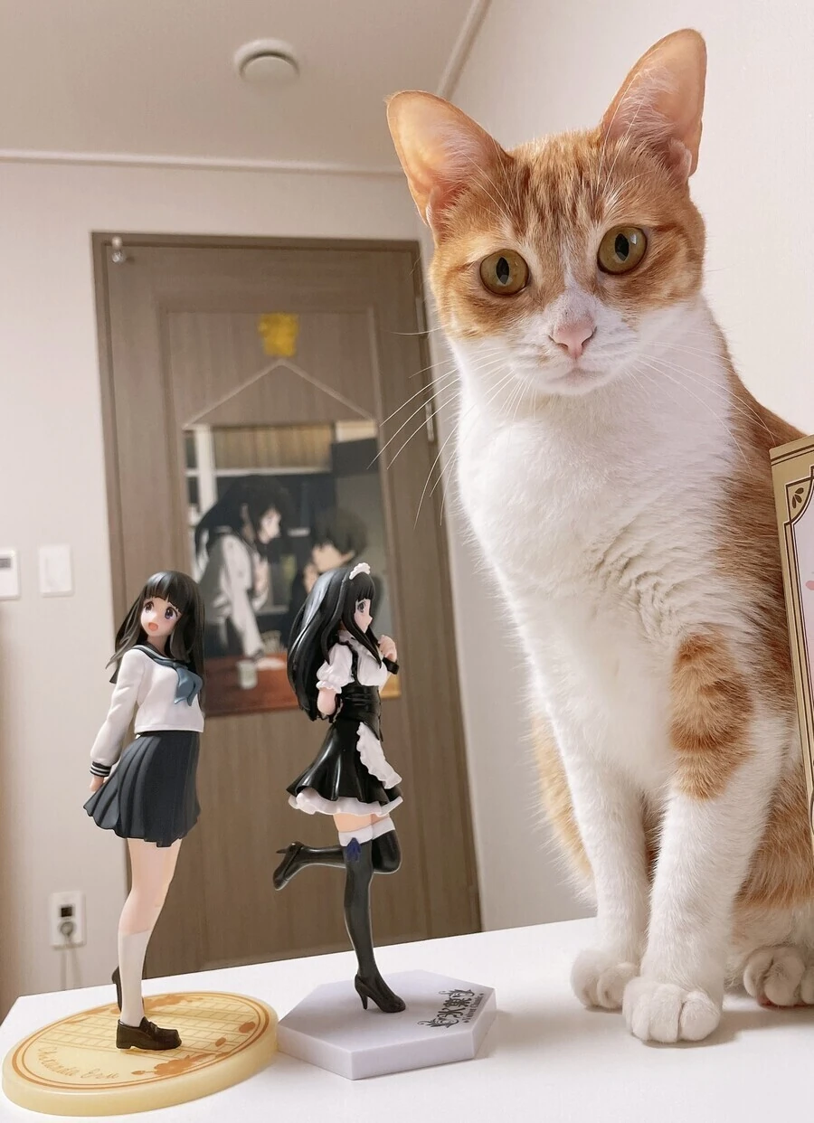너 그런거 모으니?