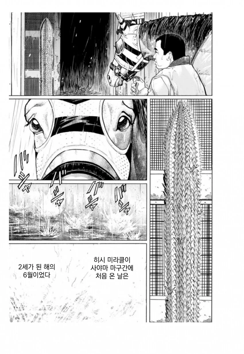 말딸, 핫산) 히시 미라클(원본마) ~종이학의 은혜~.manhwa - 이미지 3