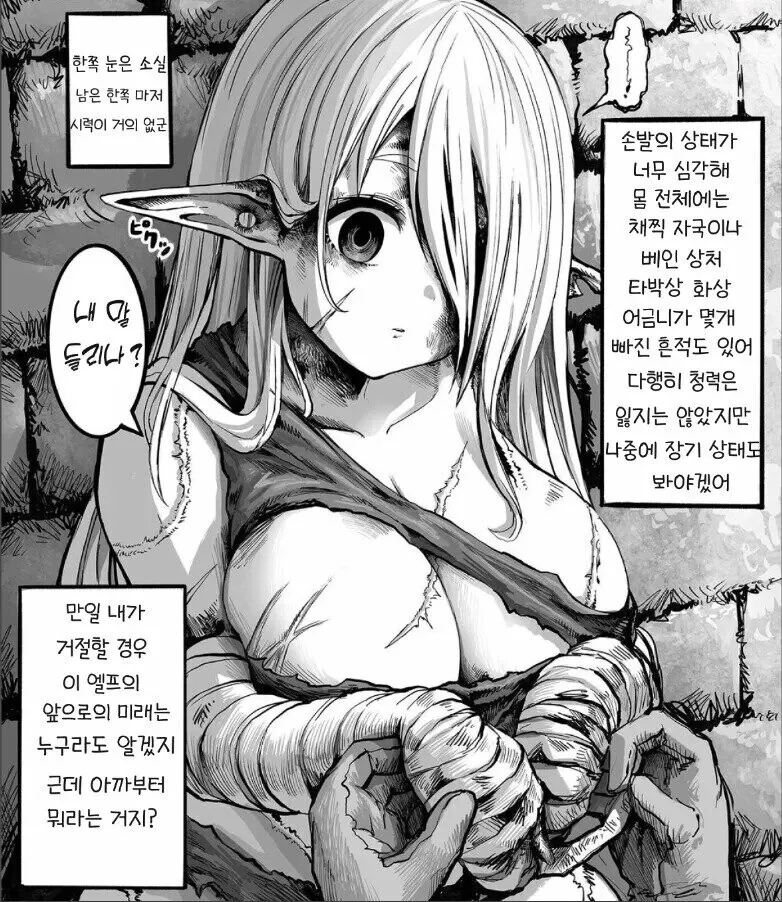 ㅇㅎ)너덜너덜한 엘프를 사는 만화