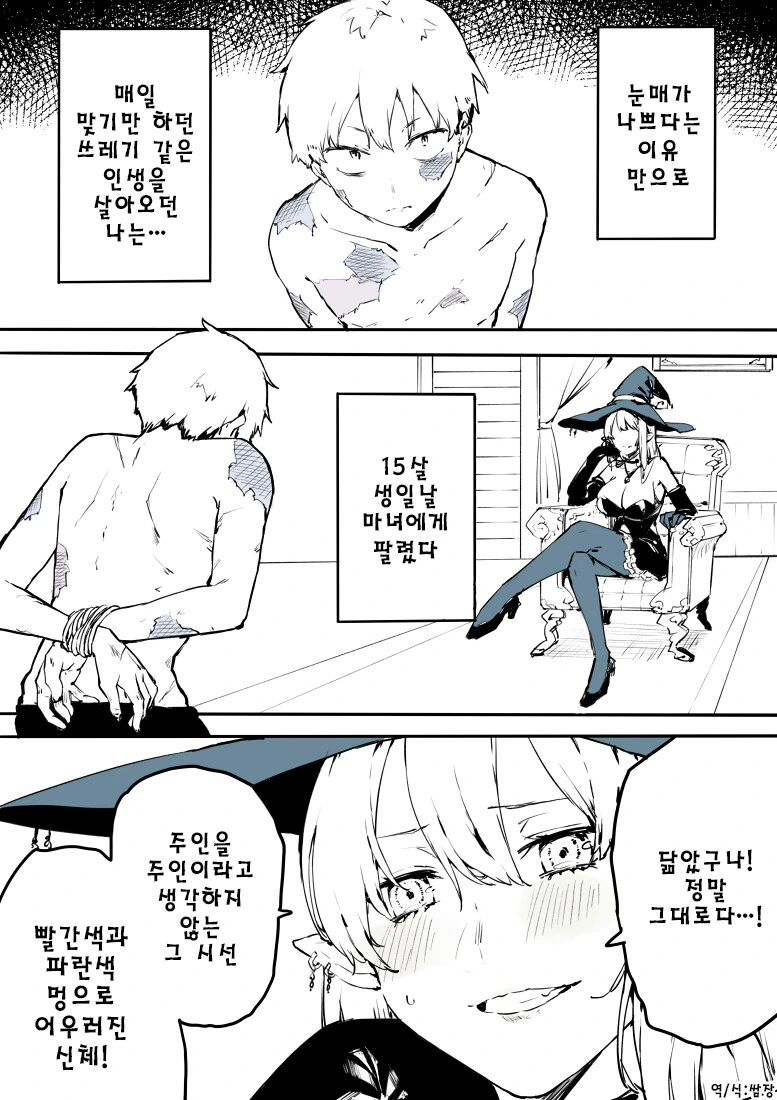 마녀에게 팔려가 인간 고양이가 되는 만화
