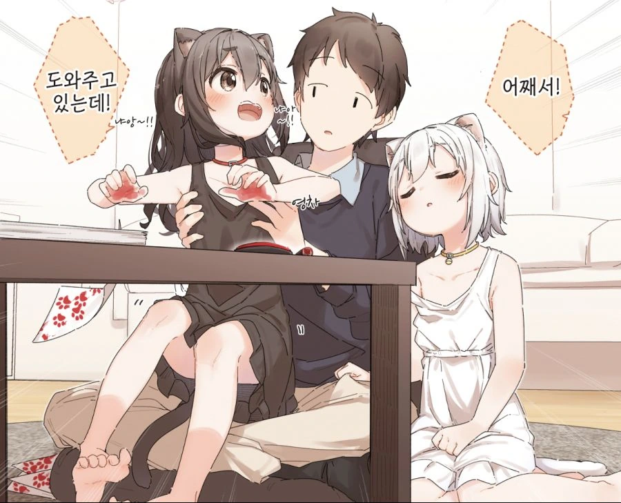 수상할정도로 귀여운 고양이를 그리는.manhwa - 이미지 6