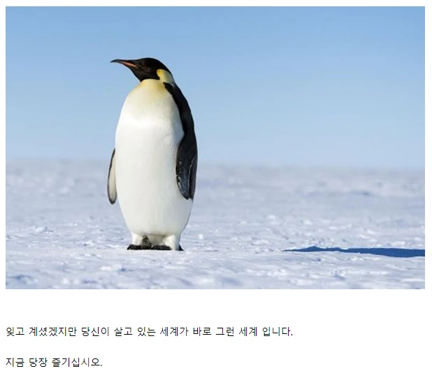 ♥스가 흔한 세상에 사는 만화.manwha