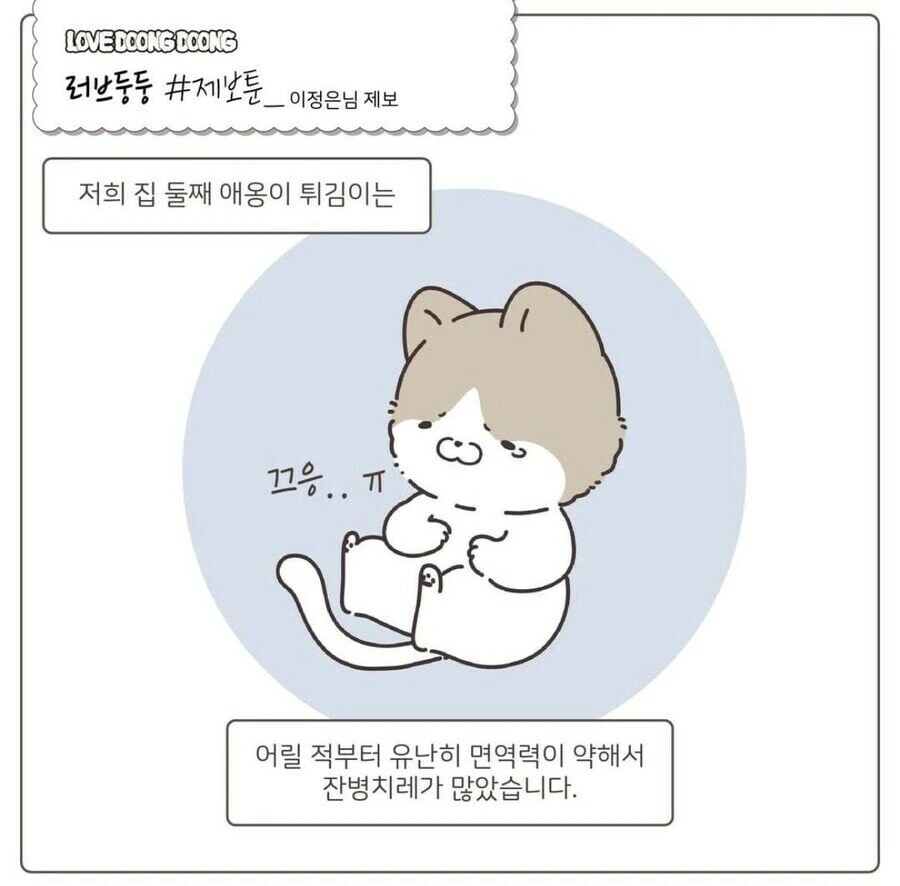강제로 약 먹여서 화난 고양이 만화.manwha