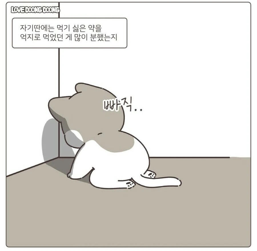 강제로 약 먹여서 화난 고양이 만화.manwha - 이미지 4