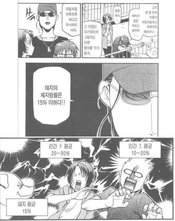 사람에게 돼지라고 놀리면 안되는 이유 manhwa