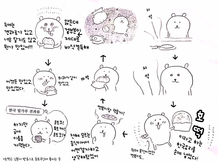 일본사람이 처음 호떡먹는 만화