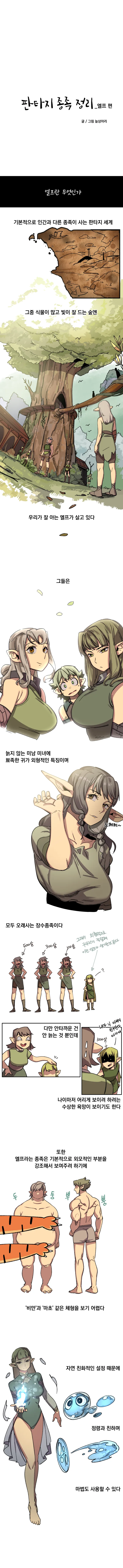 판타지종족 정리하는 만화 - 엘프편