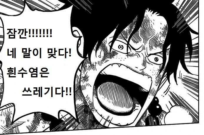 왜곡짤의 만화 원본.jpg - 이미지 6